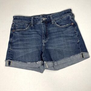 Anthropologie Pilcro and The Letterpress Slim Boyfriend Shorts